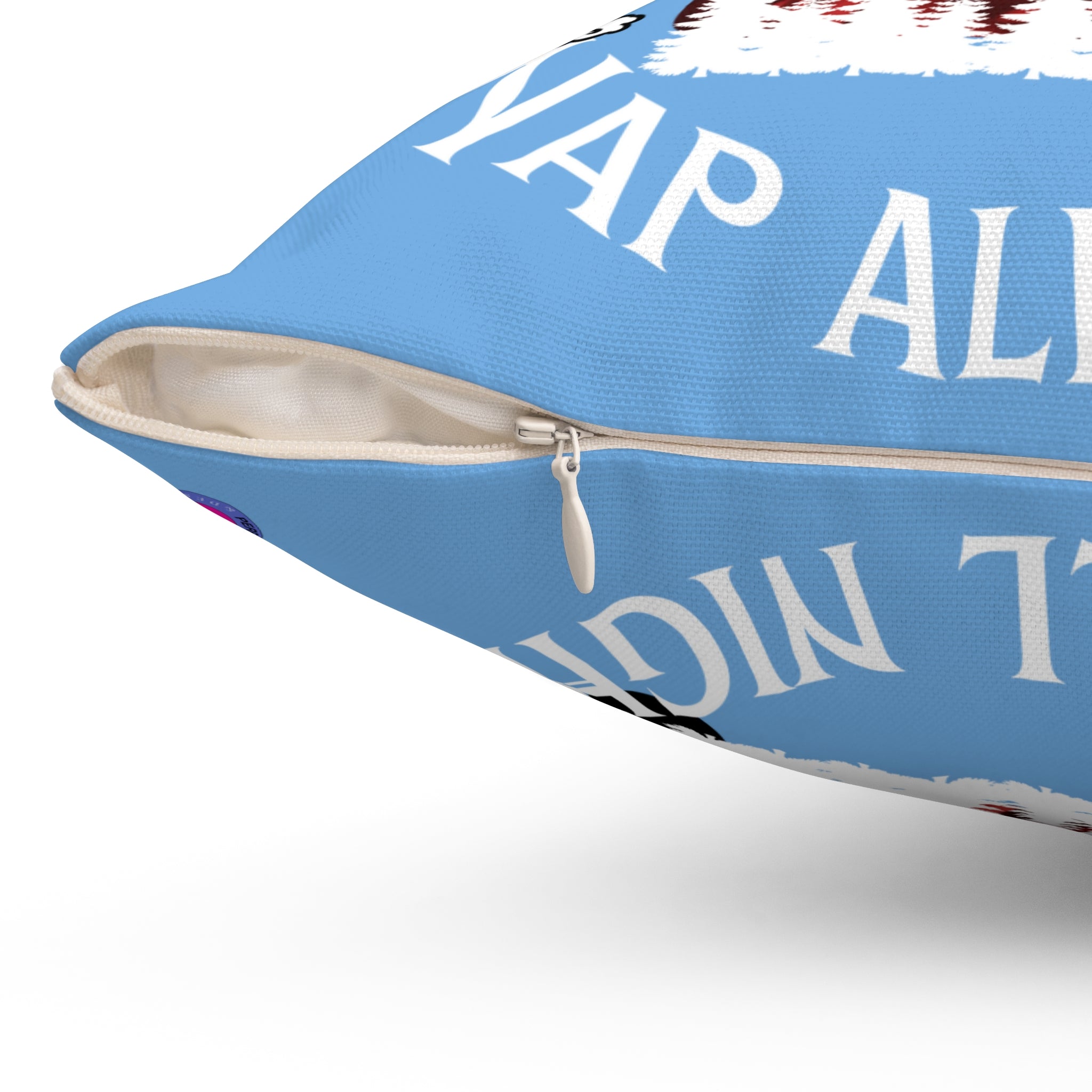 Winter Blue Sleigh All Day Nap All Night Pillow – Funny Holiday Decor for Moms